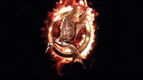 The Hunger Games GIFs on GIPHY .